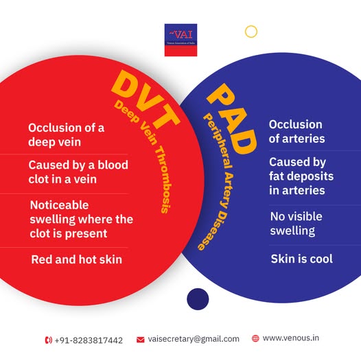 499960188_122154879134461884_126811949283021748_n